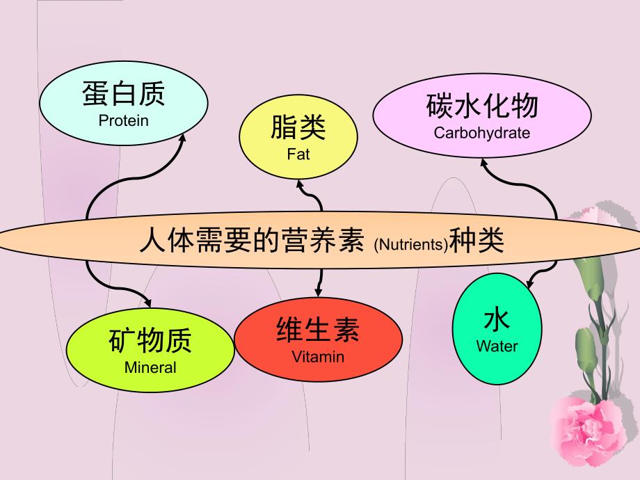 食品营养学3.ppt_第2页