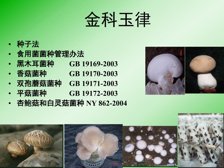 食用菌菌种标准使用指南.ppt_第2页