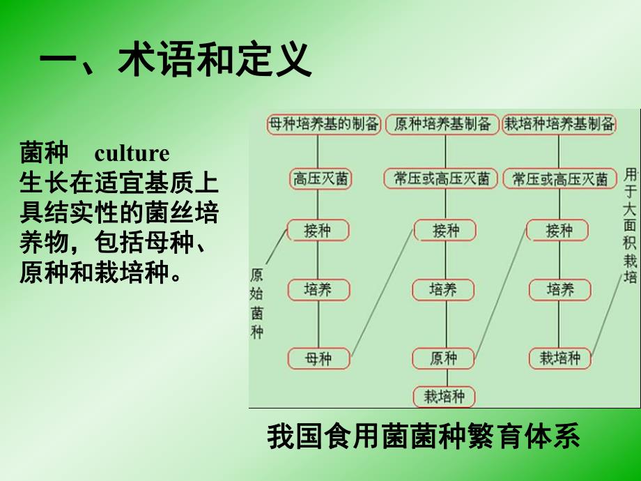 食用菌菌种标准使用指南.ppt_第3页