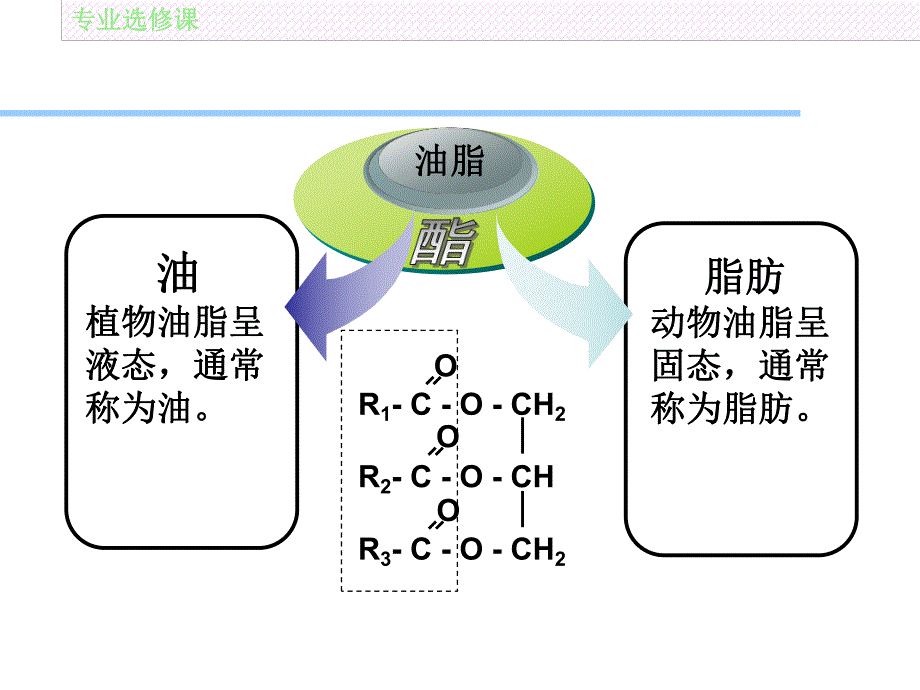 食用油脂原料.ppt_第2页