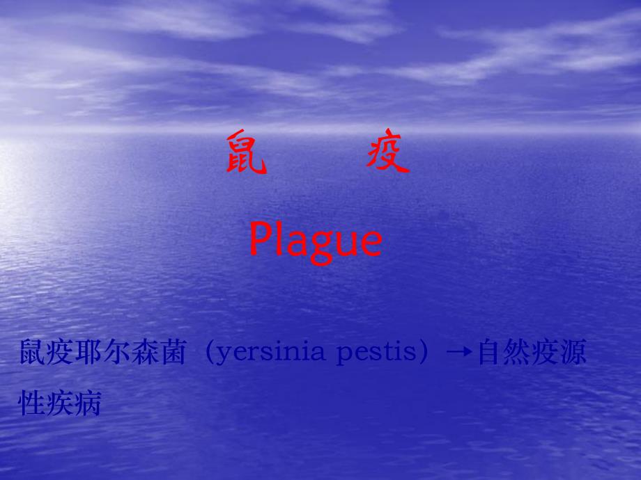 鼠疫耶尔森菌yersinia.ppt_第1页