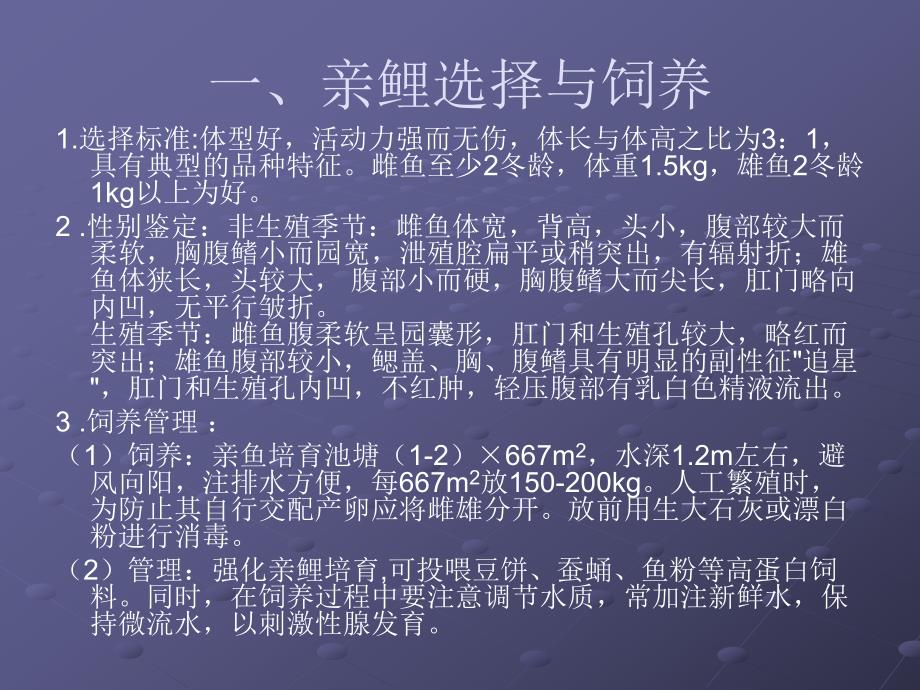 鲤鱼养殖方法.ppt_第2页