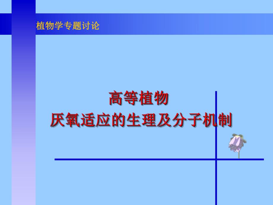 高等植物厌氧适应的生理及分子机制.ppt_第1页