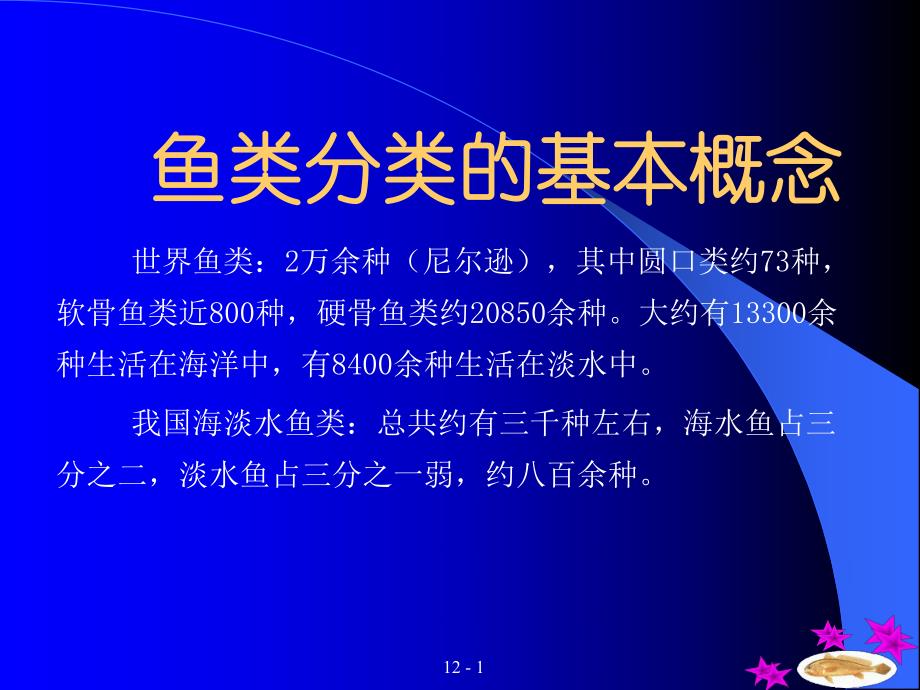 鱼类分类的基本概念.ppt_第1页