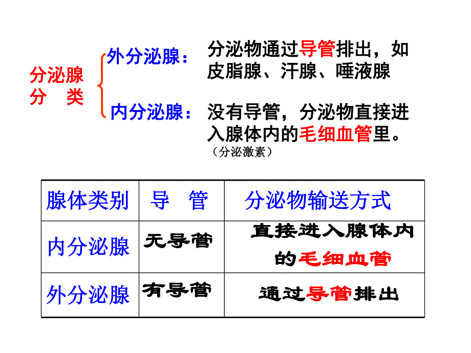 高等动物的内分泌调节.ppt_第3页