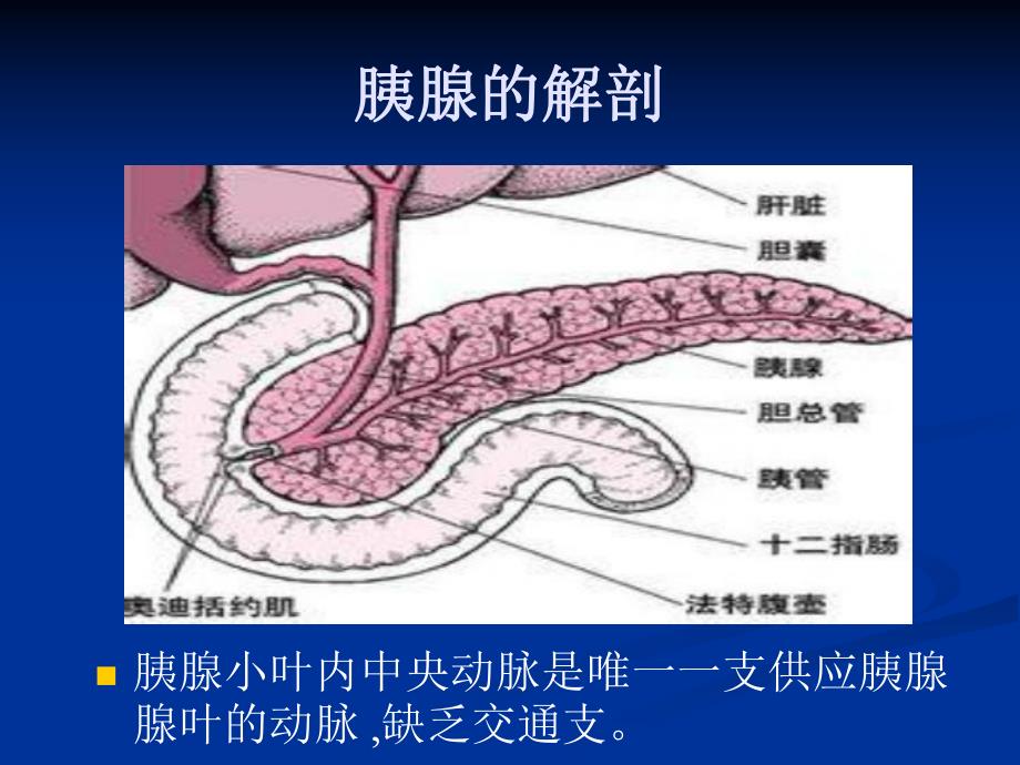 高脂血症性胰腺炎图文.ppt_第2页