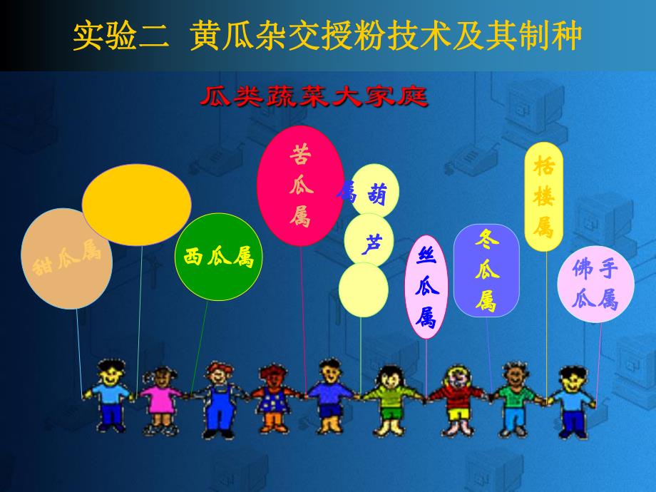 黄瓜杂交育种的程序和方法.ppt_第1页