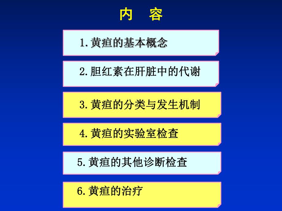 黄疸的诊断和治疗.ppt_第2页