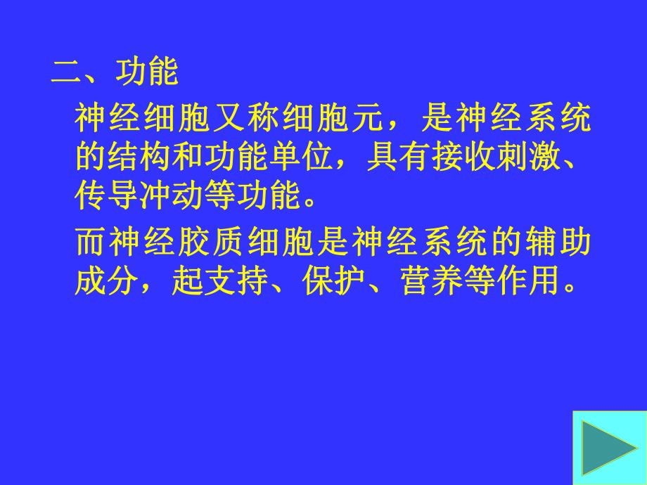 麻木通解析神经组织结构图解.ppt_第3页