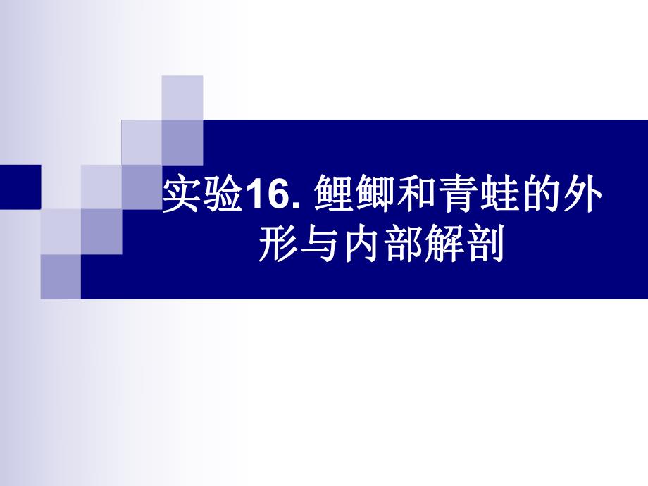 鲤鲫和青蛙的外形与内部解剖.ppt_第1页