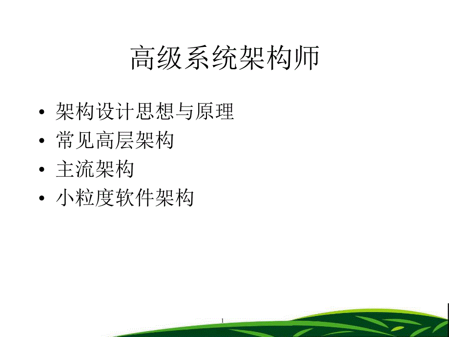 高级系统架构师.ppt_第1页