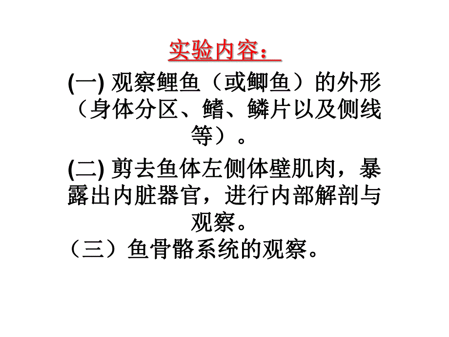 鲤鱼的观察内容.ppt_第1页