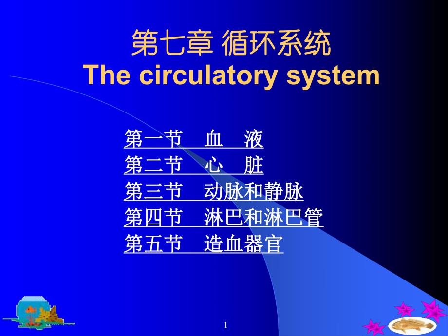 鱼类学循环系统.ppt_第1页