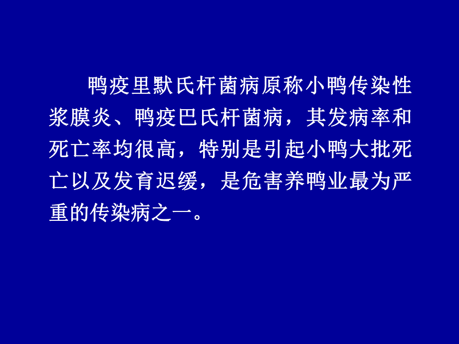 鸭疫里默氏杆菌病.ppt_第2页