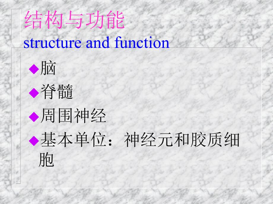 麻醉与神经系统.ppt_第2页