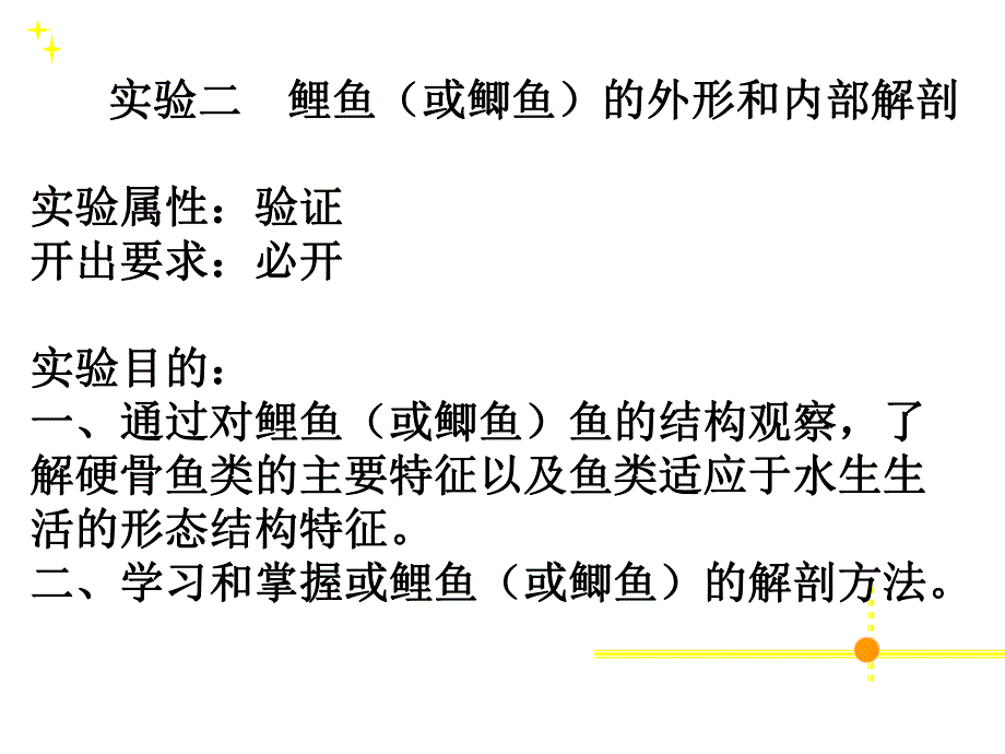 鲤鱼或鲫鱼的外形和内部解剖.ppt_第1页