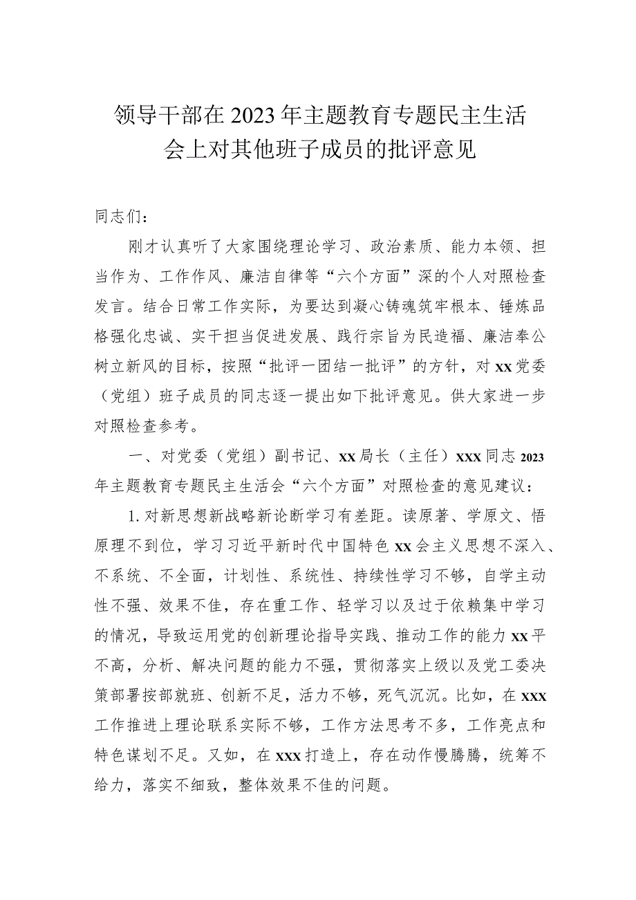 领导干部在2023年主题教育专题民主生活会上对其他班子成员的批评意见.docx_第1页