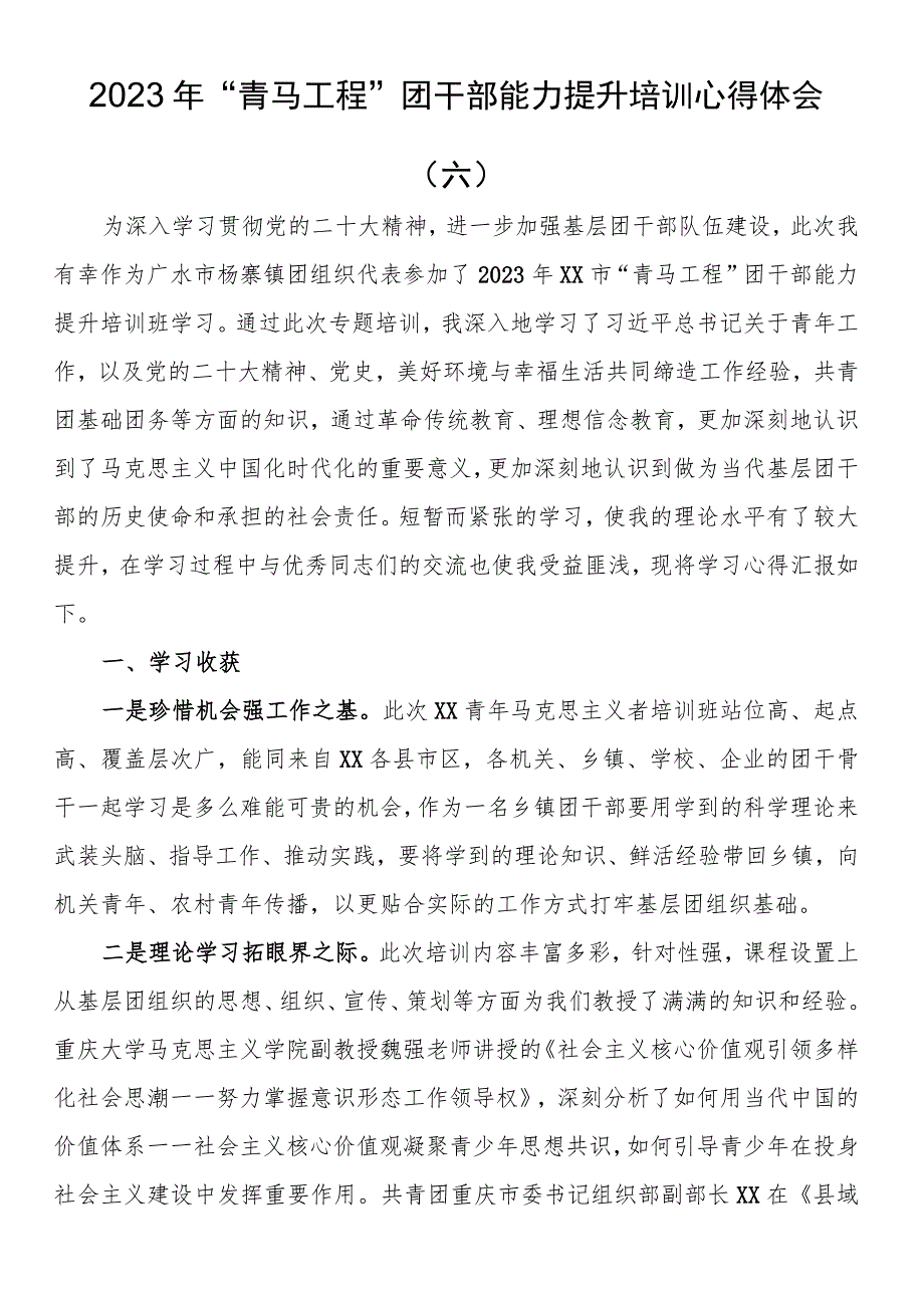 2023年“青马工程”团干部能力提升培训心得体会（六）.docx_第1页