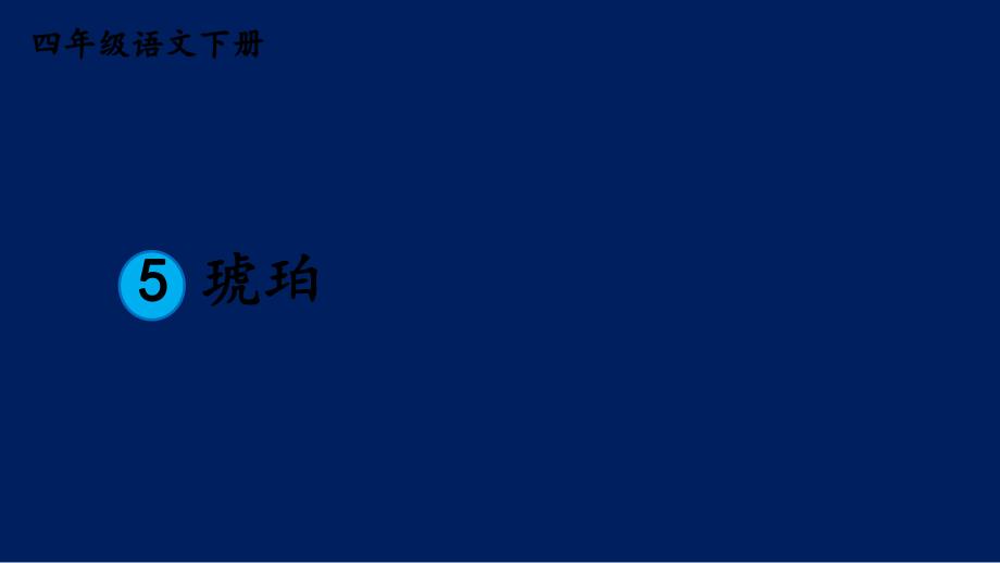 5琥珀课件.ppt_第2页