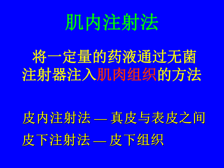 肌内注射注意事项.ppt_第2页