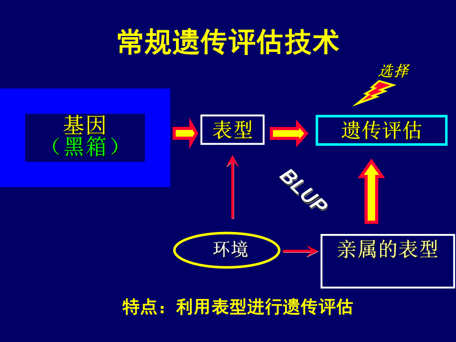 大学课件基因组时代的动物遗传评估技术P35.ppt_第3页