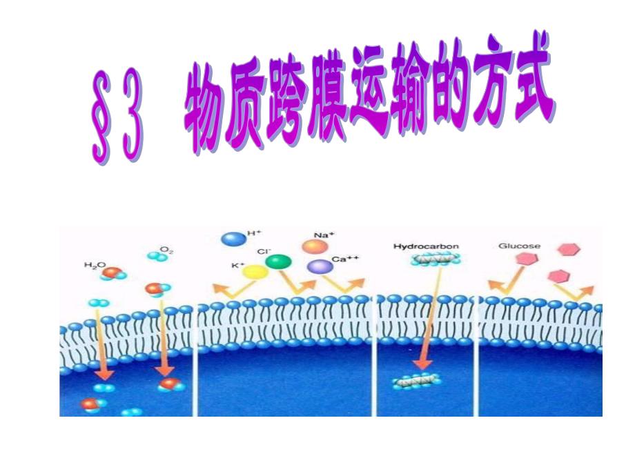 43物质跨膜运输的方式ok.ppt_第1页