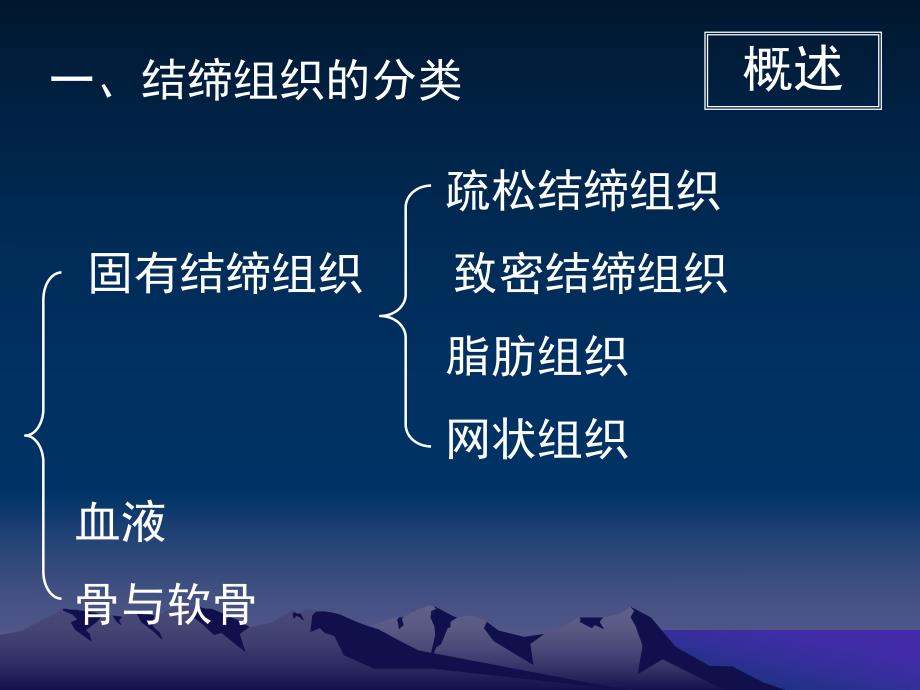 03结缔组织授课用.ppt_第3页