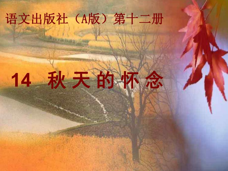 2天的怀念.ppt_第1页