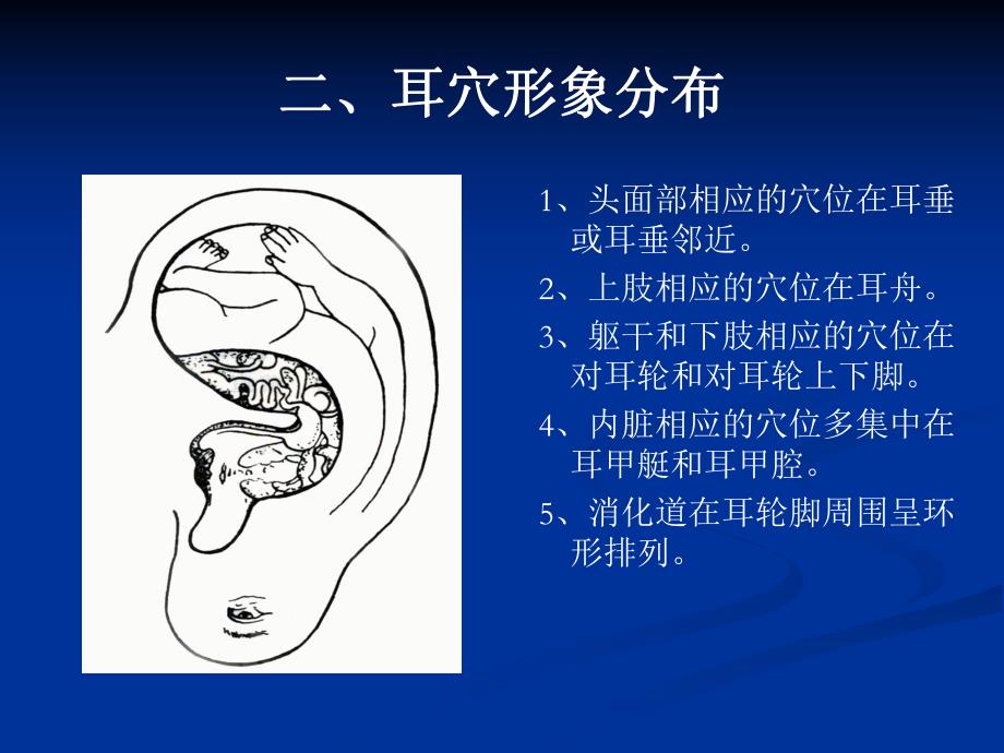 耳穴压豆课件.ppt_第3页