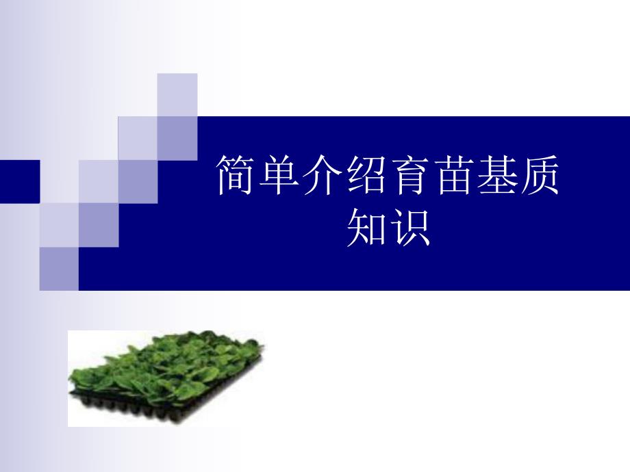 育苗基质功能及介绍.ppt_第1页