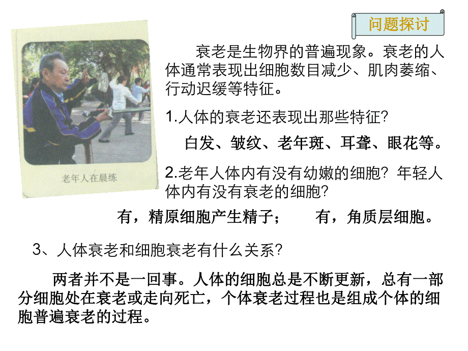 63细胞的衰老和凋亡.ppt_第3页