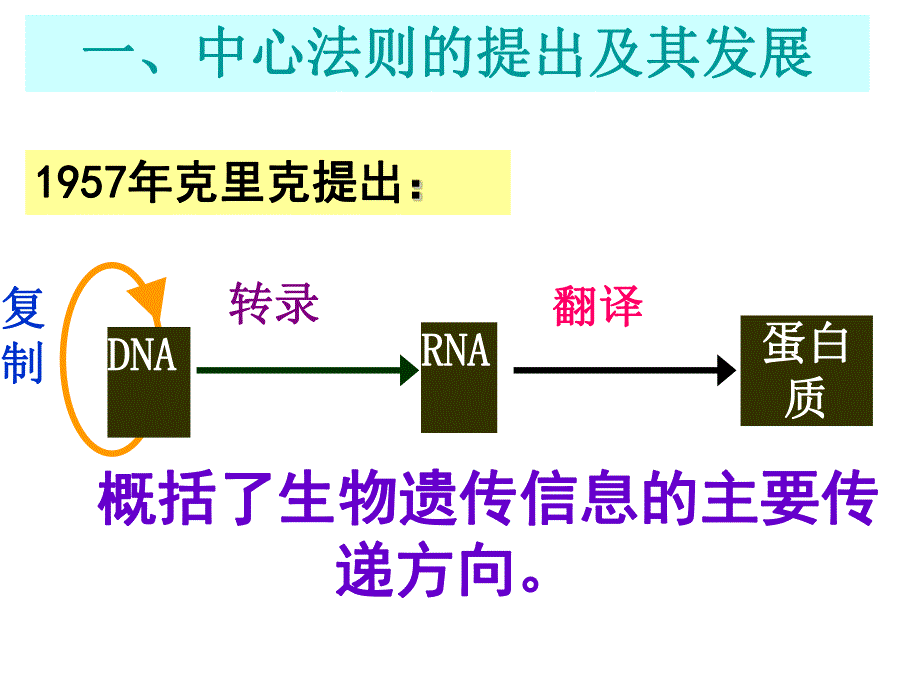 4.2基因对性状的控制课件雷群英.ppt_第2页