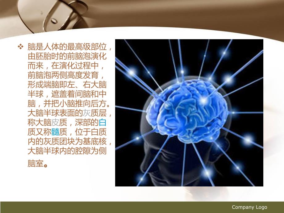 脑实质CT断层解剖.ppt_第2页