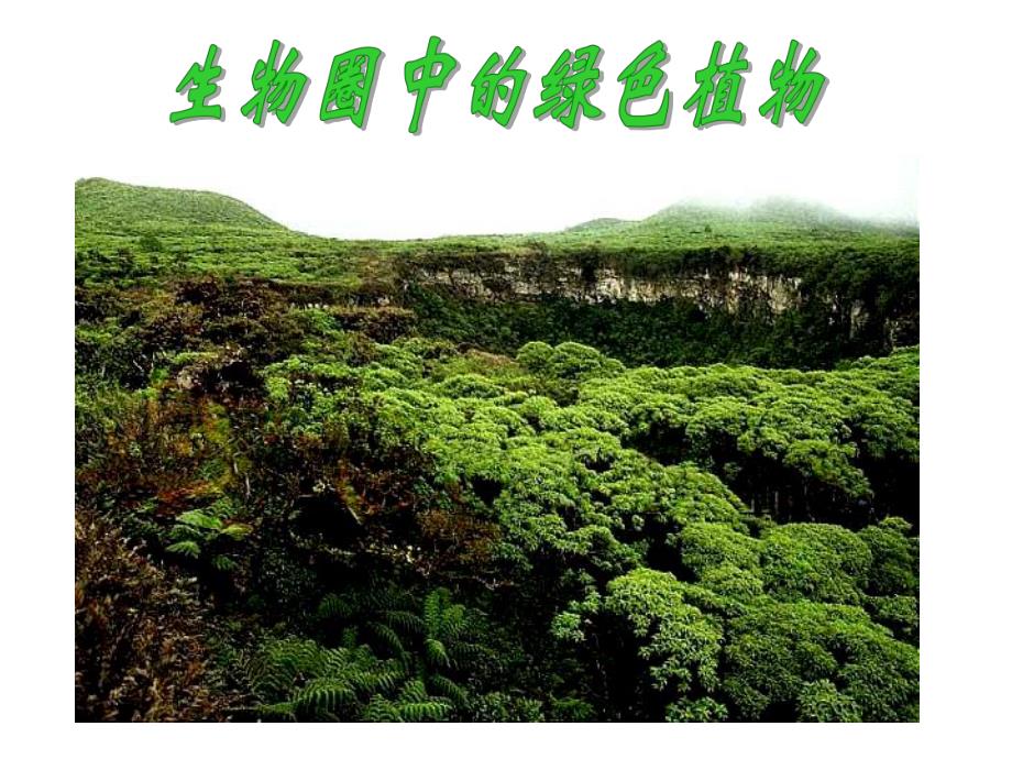 311藻类、苔藓和蕨类植物课件[1].ppt_第1页