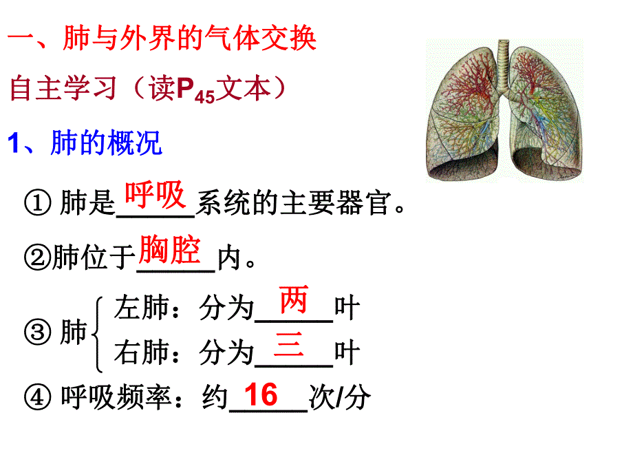 4.32发生在肺内的气体交换.ppt_第3页