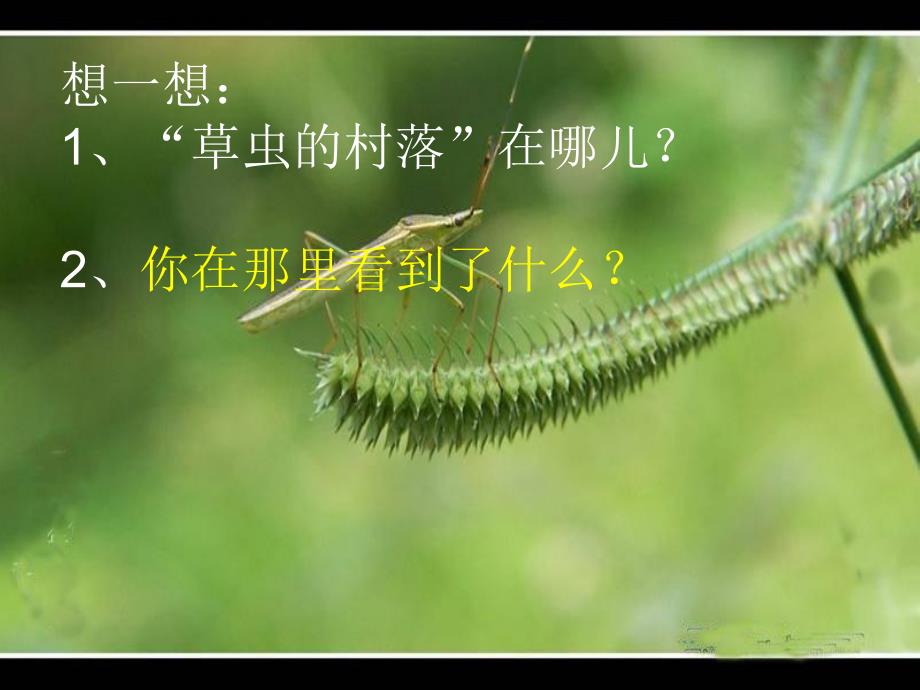 3.草虫的村落.ppt_第3页