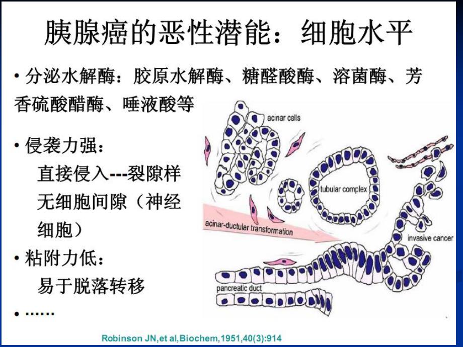 胰腺癌的转化性研究.ppt_第2页