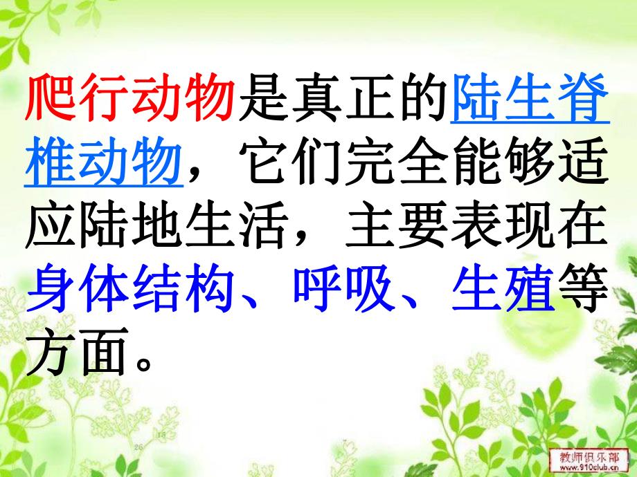 爬行动物课件.ppt_第2页