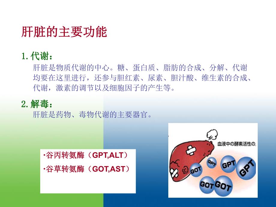 肝炎治疗的基础知识.ppt_第2页