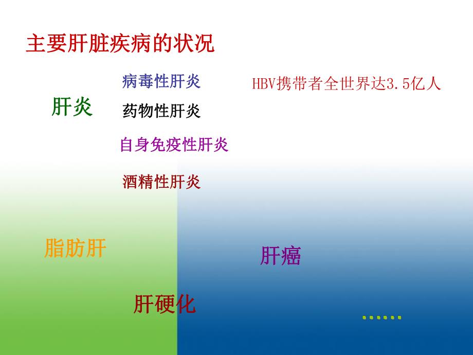 肝炎治疗的基础知识.ppt_第3页