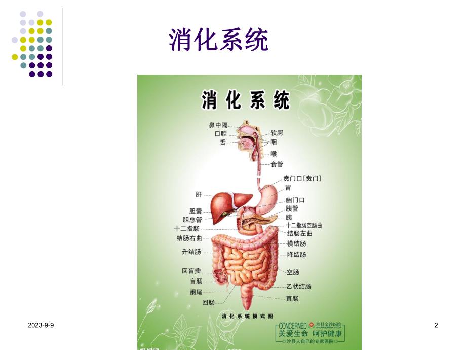 胃肠肝胆疾病营养治疗.ppt_第2页