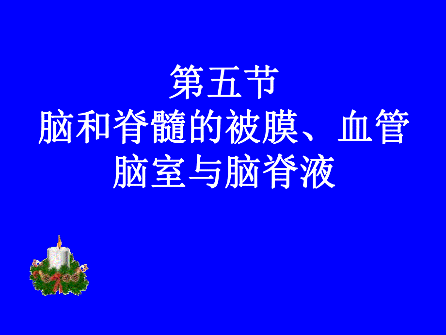 脑和脊髓被膜血管及脑脊液循环.ppt_第1页