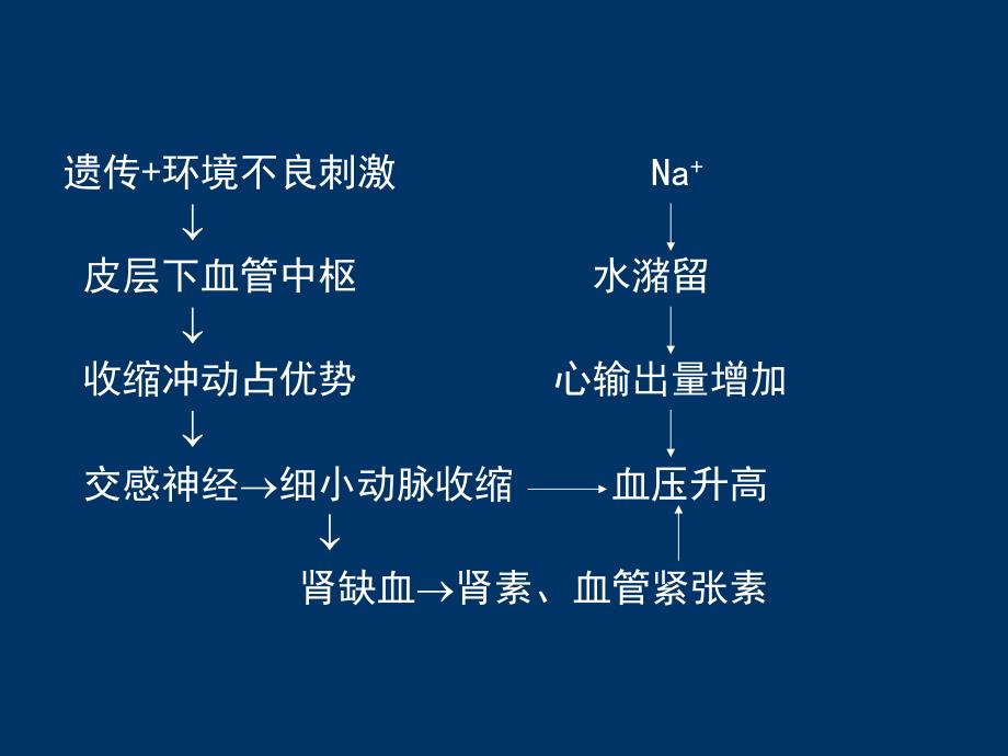 徐曼病理学精品教学课件7.高血压.ppt_第3页