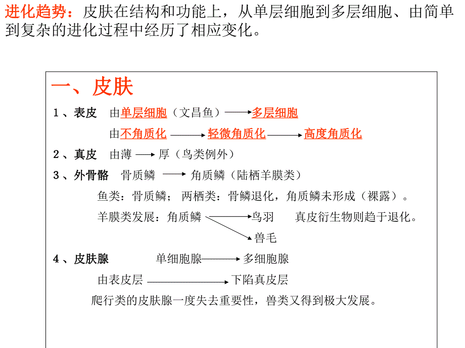 脊椎动物总结.ppt_第2页