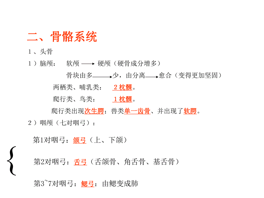 脊椎动物总结.ppt_第3页