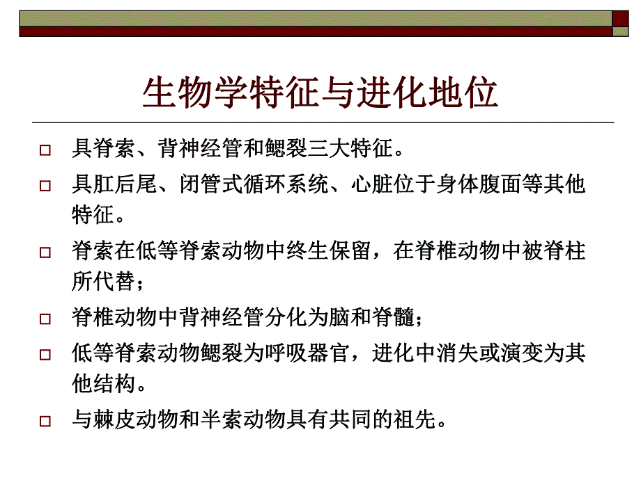 脊索动物门1上课用.ppt_第3页