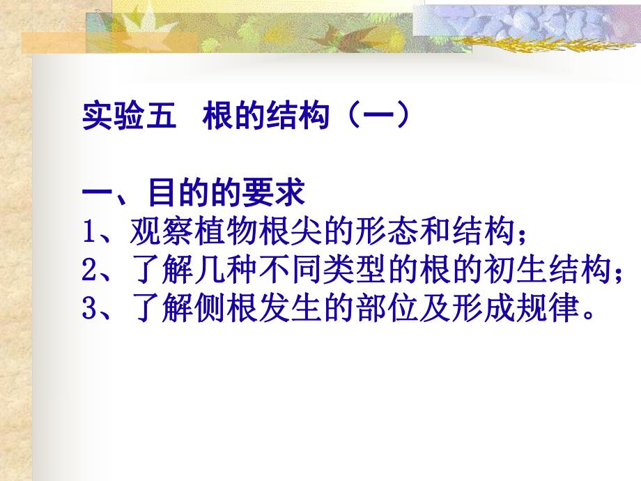 实验五根的结构一.ppt_第1页