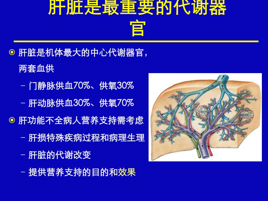 肝功能异常时肠外营养中氨基酸的作用.ppt_第3页