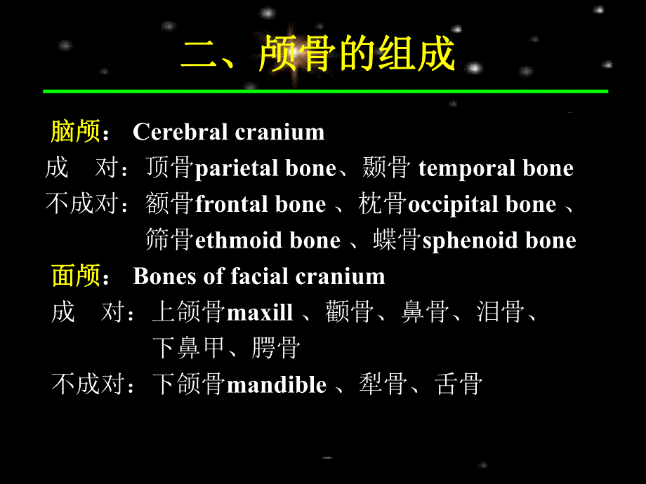 系统解剖学资料2系解之颅四肢骨.ppt_第3页