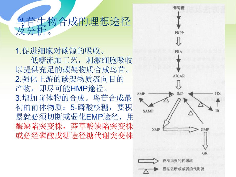 发酵机制鸟苷1920.ppt_第2页